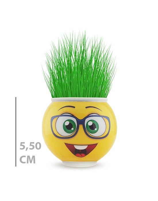KUTULU YUVARLAK ÇİMOJİ ÇİMADAM 24’LÜ