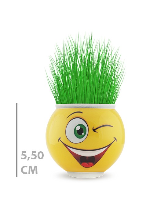KUTULU YUVARLAK ÇİMOJİ ÇİMADAM 24’LÜ