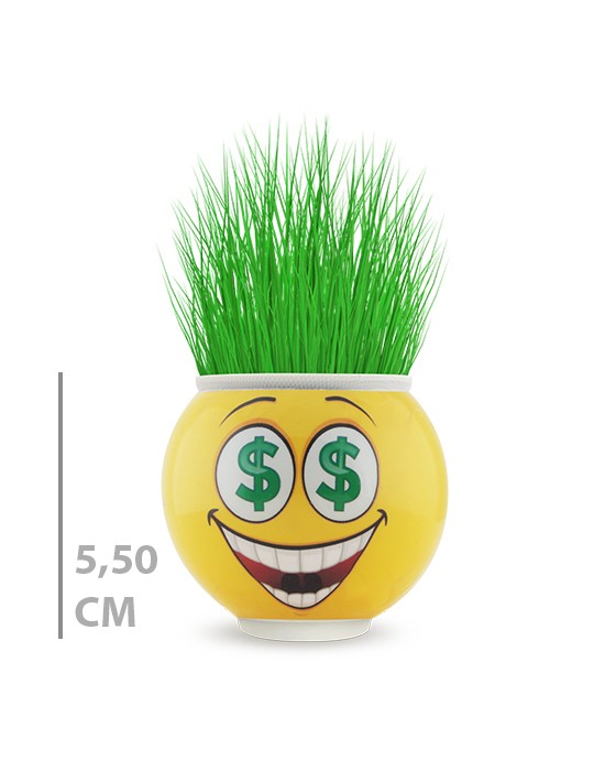 KUTULU YUVARLAK ÇİMOJİ ÇİMADAM 24’LÜ