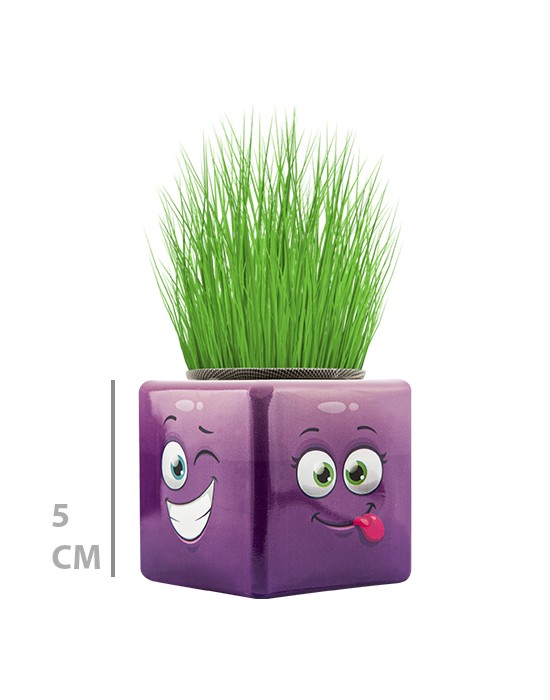 MİNİ KÜP ÇİMOJİ ÇİMADAM 32’Lİ