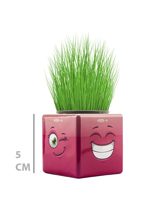 MİNİ KÜP ÇİMOJİ ÇİMADAM 32’Lİ