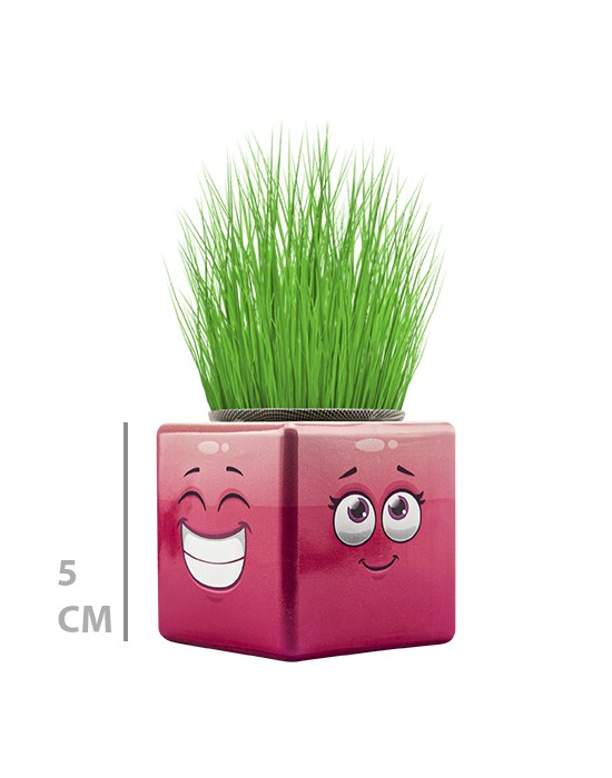 MİNİ KÜP ÇİMOJİ ÇİMADAM 32’Lİ