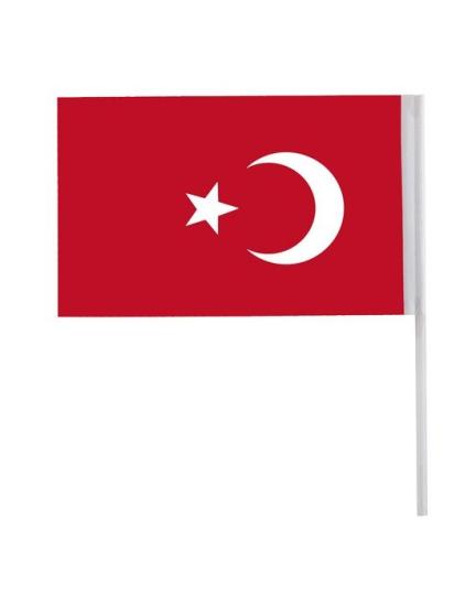 KÜÇÜK ÇITALI AYYILDIZ BAYRAK 80’Lİ 12CM*20CM VT-801