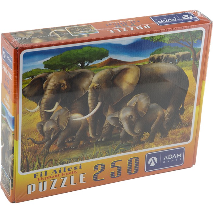 ADAM GAMES 250 PARÇA PUZZLE